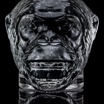 Conception unique 500 ml 750 ml Bouteille en verre en forme de tête de singe pour la vodka Liqueur avec liège
